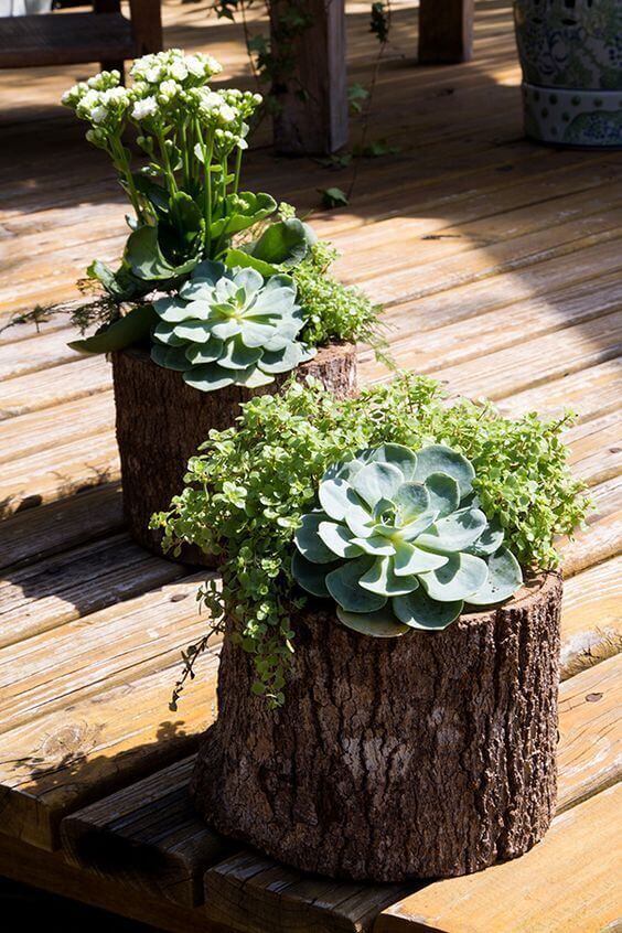 Diy Tree Stump Ideas