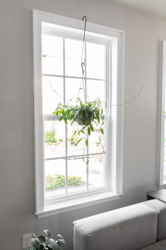 Modern Window Trim Ideas