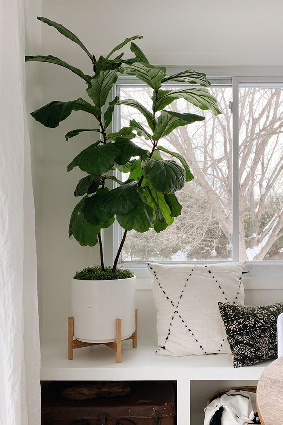 Large Fake Plants for Living room