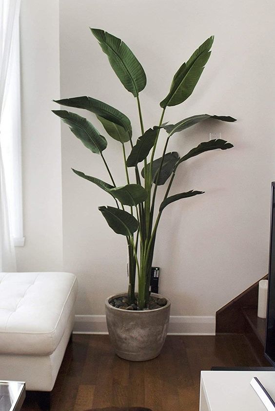 Tall Fake Plants for Living room