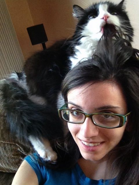 Cat chewing on a woman's hair while sitting on her shoulder.