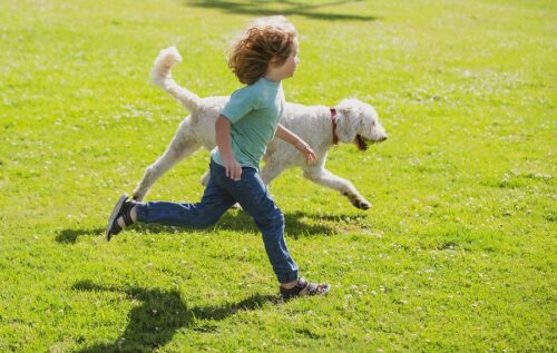 Child running with a white dog on green grass in a park.